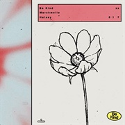 Be Kind - Marshmello & Halsey