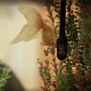 Curb Your Enthusiasm: "Fish Stuck" (S12,E5)