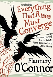 Everything That Rises Must Converge (Flannery O&#39;Connor)