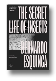 The Secret Life of Insects (Bernardo Esquinca)