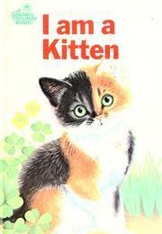 I Am a Kitten (I Am a Kitten Ole Risom)