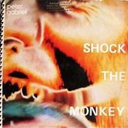 Shock the Monkey - Peter Gabriel