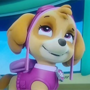 Let's Take to the Sky!