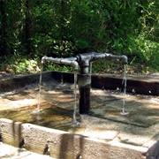 God's Acre Healing Springs