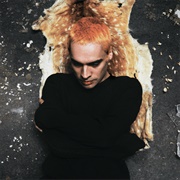 Sega Bodega - Dennis