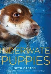 Underwater Puppies (Seth Casteel)