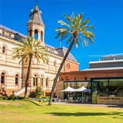 South Australian Museum