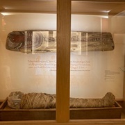 Cabinet of Curiosity at Cazenovia Public Library