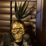 Tropicali Poke, Big Bear CA