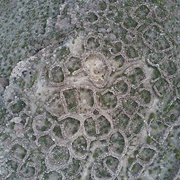 Laqaya, Altiplano, Bolivia