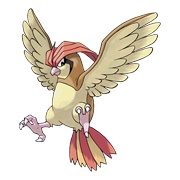 Pidgeotto