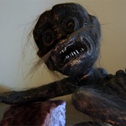 The Nature Museum Feejee Mermaid