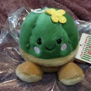 Unknown Korean Plant #1