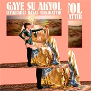 Gaye Su Akyol - Istikrarli Hayal Hakikattir