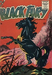 Black Fury (Charlton Comics)
