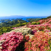Nagushiyama Park, Sasebo