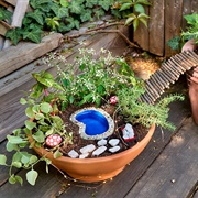 Fairy Garden