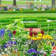 Alaska Botanical Garden, Anchorage