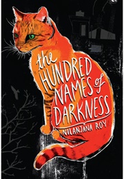 The Hundred Names of Darkness (Nilanjana Roy)