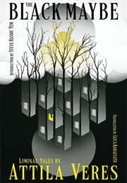 The Black Maybe - Liminal Tales (Attila Veres)