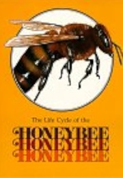 The Life Cycle of the Honeybee (Paula Z. Hogan)