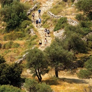 Byzantine Road, Paros
