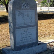 Grave of Pat the Horse