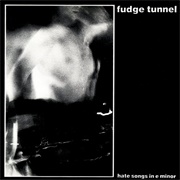 Fudge Tunnel - Hate Songs in E Minor
