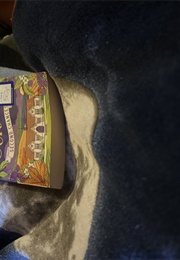 The Cornish Village School (Kitty Wilson)