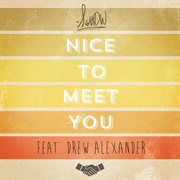 Nice to Meet You - Scottdw