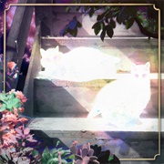 The Scary Jokes, Retinal Bloom