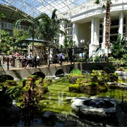 Gaylord Opryland Conservatory Gardens, Nashville
