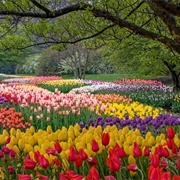 Longwood Gardens, PA