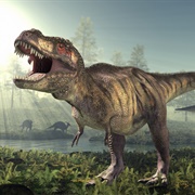 Dinosaurs