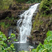 Waimea Falls, Oahu, Hawaii, USA