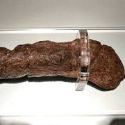 Lloyds Bank Coprolite