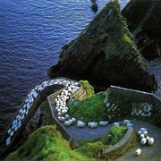 Sheep Highway, Ireland