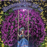 Chiang Rai Flower Festival