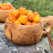 Cloudberries
