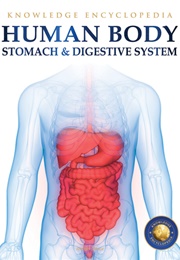 Human Body: Stomach and Digestive System (Wonder House Books)