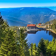 Black Forest, Germany