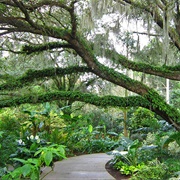 Harry P. Leu Gardens, Orlando, FL