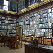 Marianne North Gallery at Kew Gardens