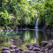 Lavena Coastal Walk, Fiji