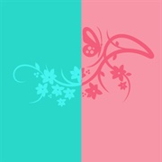 Turquoise / Pink