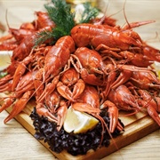 Gilgie (Cherax Quinquecarinatus)