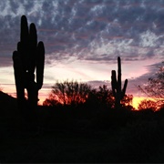 San Tan Mountain Regional Park