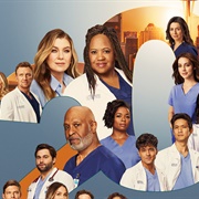 Grey's Anatomy Season 20