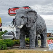 Statue of Jackson the Elephant