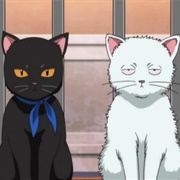 191. Freedom Means to Live True to Yourself, Not Without Law!